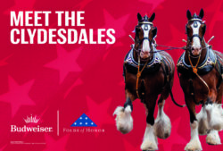 The Budweiser Clydesdales are coming to Green Bay!